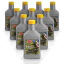 Kit 10 Litros 10W50 Synthetic Metric Motorcycle Oil AMSOIL