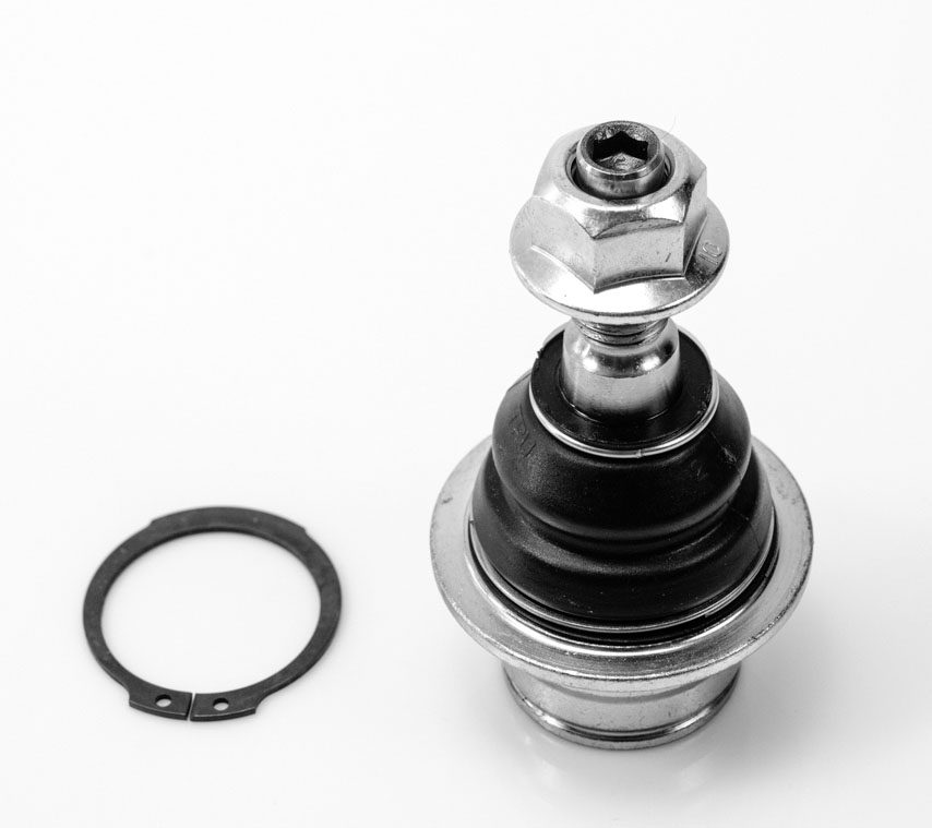 [1008017 SYD] ROTULA INFERIOR