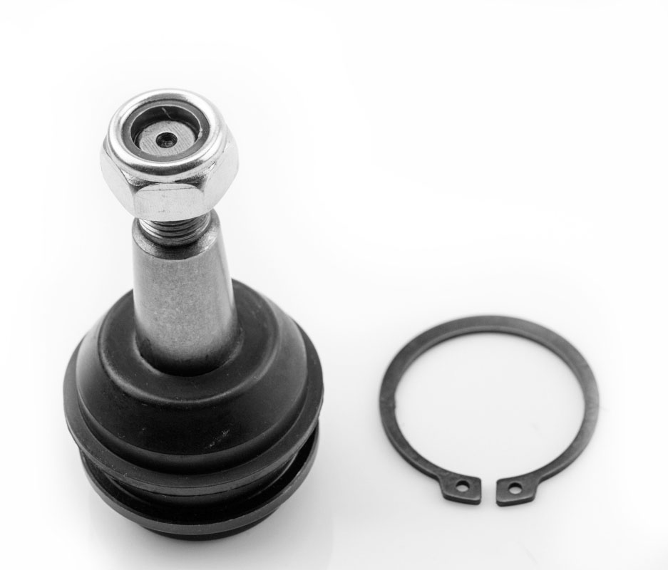[1015003 SYD] ROTULA INFERIOR